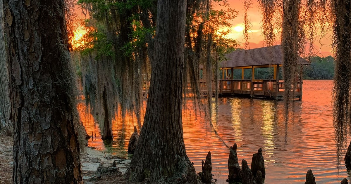 The Pattern of the Swamp — And How to Drain It